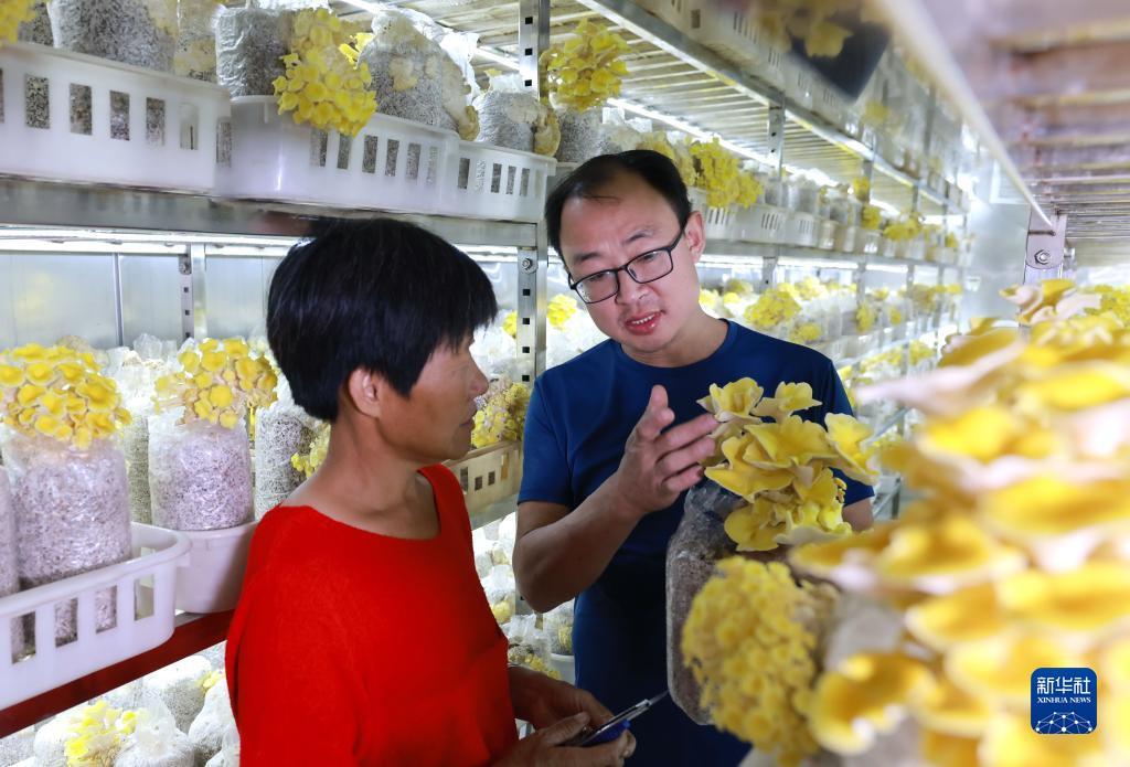 英豪2娱乐平台